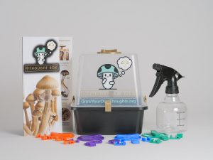 Thought Box Grow Kit | Small
