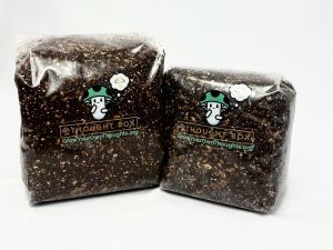 Thought Box Refill Kits