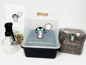 Thought Box Grow Kit | Small