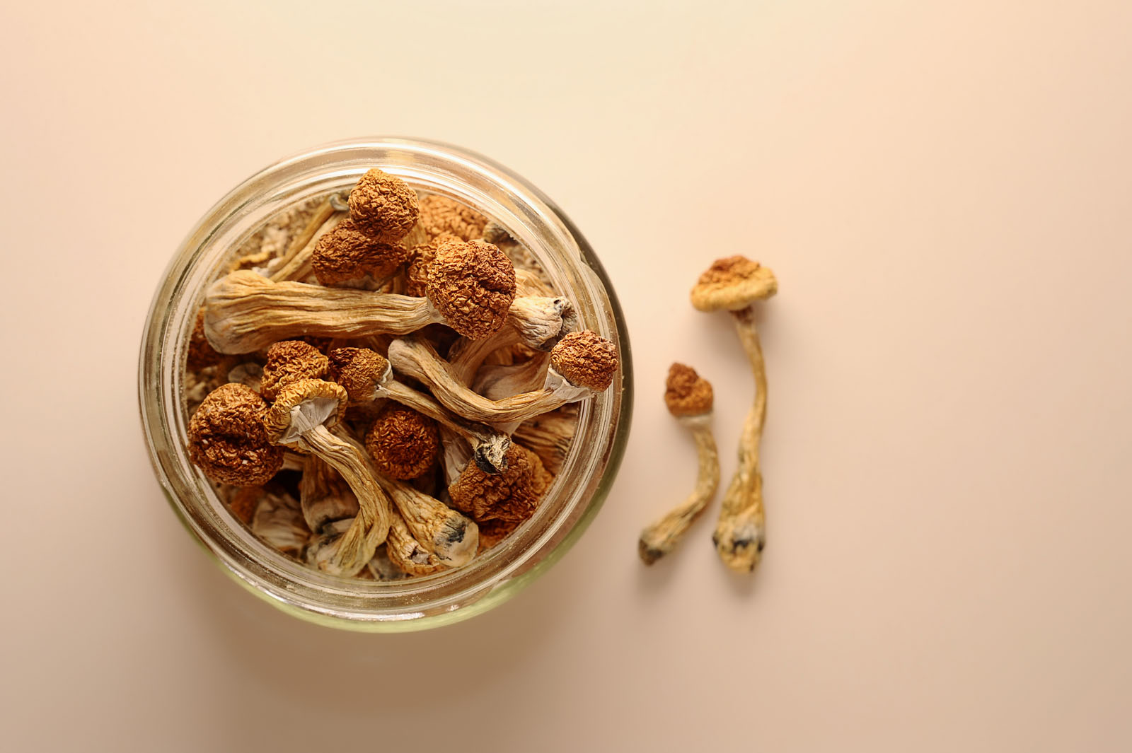 One of the most consistent findings across microdosing research is improved emotional regulation and overall mood.